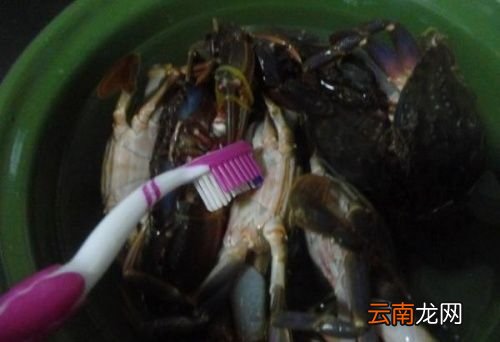 螃蟹烧多久就可以吃了