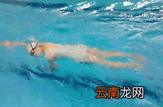 为什么不推荐只通过跑步减肥呢