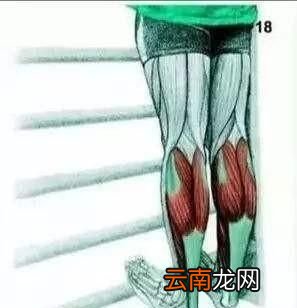 跑步拉伸的原因
