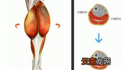 跑步拉伸的原因