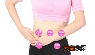 吃哪些食物可以更靠谱的促进肠道菌群平衡