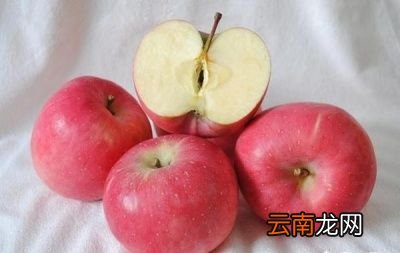 吃哪些食物可以更靠谱的促进肠道菌群平衡