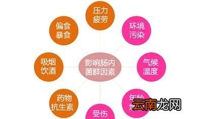 哪些因素能破坏肠道菌群平衡