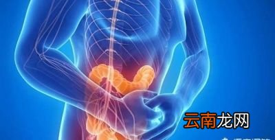 哪些因素能破坏肠道菌群平衡