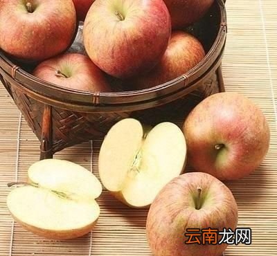 下面介绍几种食物常吃可保持体内肠道菌平衡