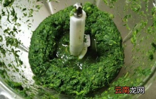 蒿子粑粑是用的什么蒿子
