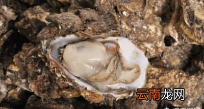 说到4月份吃什么海鲜正当时