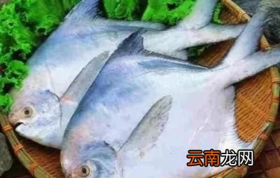 4月份吃什么海鲜正当时