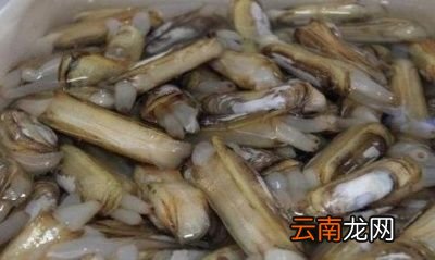 4月份吃什么海鲜正当时