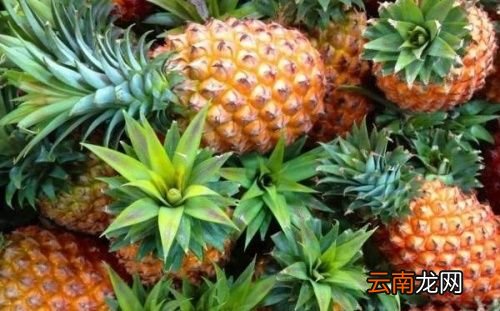 凤梨和菠萝有什么区别