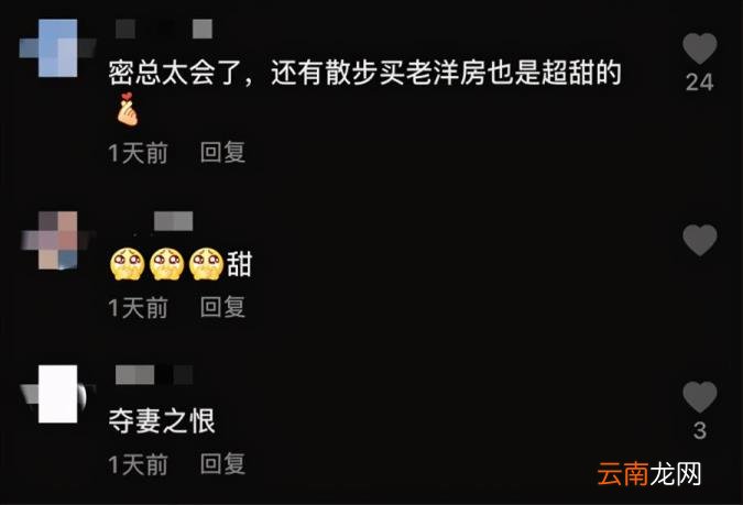 董卿的丈夫 董卿真正的老公