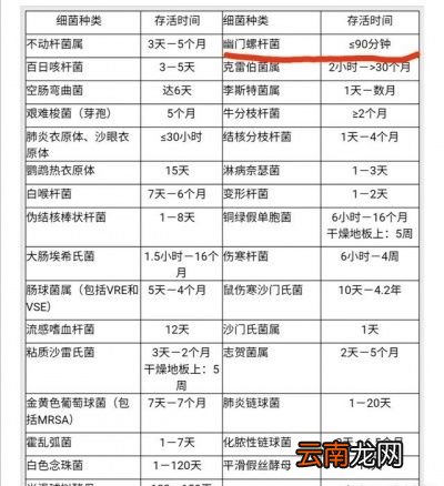 我想象不出还会有多少人会用别人吃过的筷子