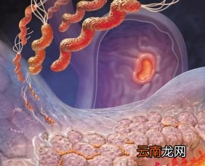 我想象不出还会有多少人会用别人吃过的筷子