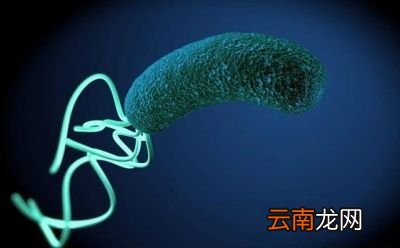我想象不出还会有多少人会用别人吃过的筷子