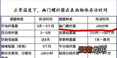 了解什么是幽门螺旋杆菌