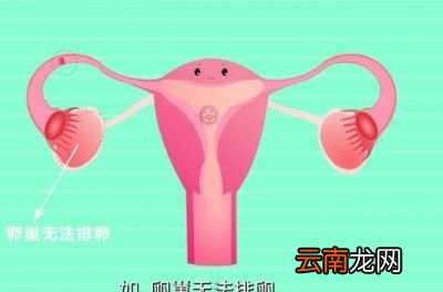 孕前检查夫妻双方只一人做可以吗