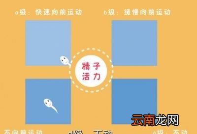 孕前检查夫妻双方只一人做可以吗