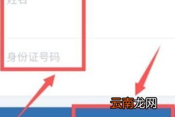 自己怎样查询核酸结果