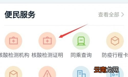 自己怎样查询核酸结果