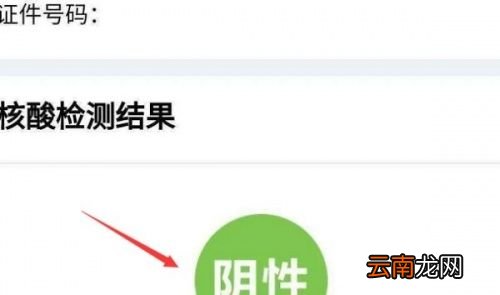 自己怎样查询核酸结果