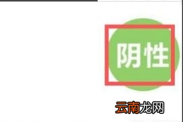 自己怎样查询核酸结果