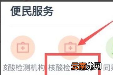 自己怎样查询核酸结果