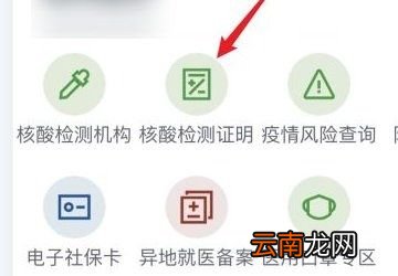 怎么可以查看核酸结果