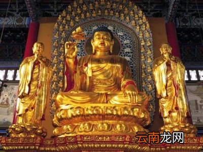 你做过的最神奇的梦是什么