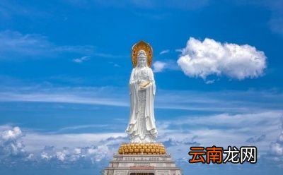 你做过的最神奇的梦是什么