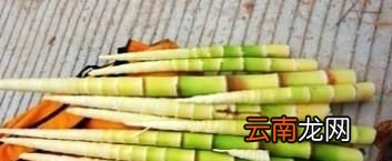 切除胆囊后可以吃竹笋吗
