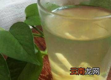 鱼腥草煮水要煮多久为宜?