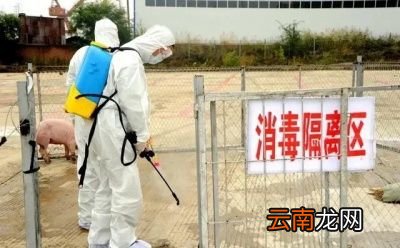 非洲猪瘟病毒在自然环境下能存活多久
