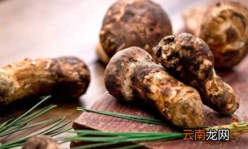 松茸营养价值真的那么高吗