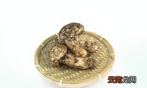 松茸营养价值真的那么高吗