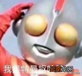 借款房屋抵押的合同范本 个人房屋抵押合同范本