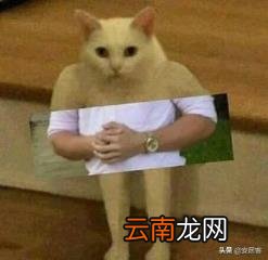 借款房屋抵押的合同范本 个人房屋抵押合同范本