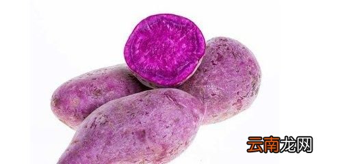 紫薯和红薯哪个更减肥