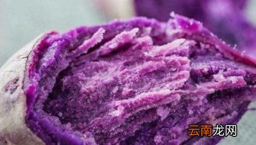 紫薯不能和什么一起吃