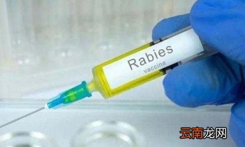 轻微抓伤要打狂犬疫苗吗