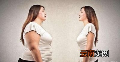 科学的减肥方法+食谱
