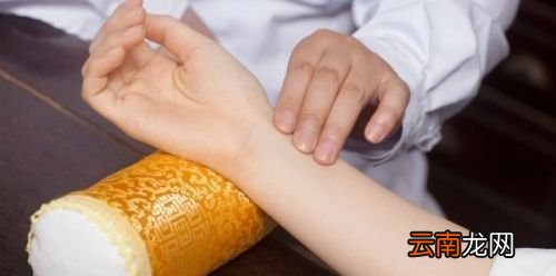 痰湿体质吃什么中成药