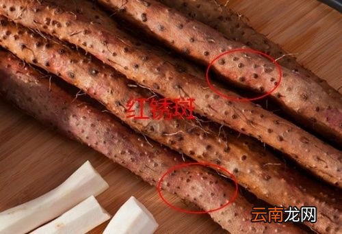 怎么分辨铁棍山药还是普通山药