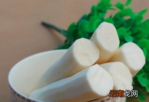 怎么分辨铁棍山药还是普通山药