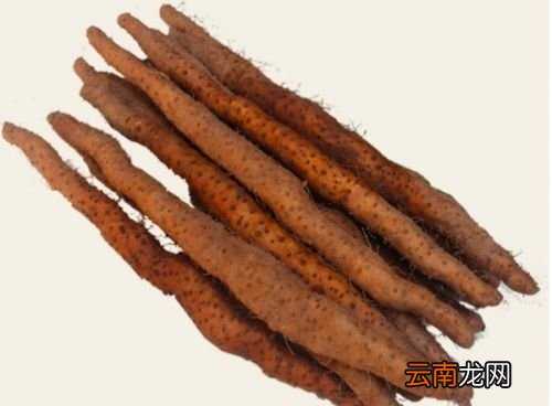 怎么分辨铁棍山药还是普通山药