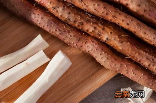 怎么分辨铁棍山药还是普通山药