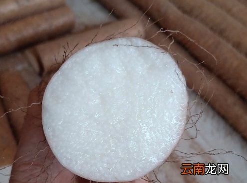 怎么分辨铁棍山药还是普通山药