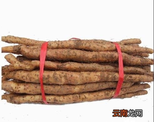 怎么分辨铁棍山药还是普通山药