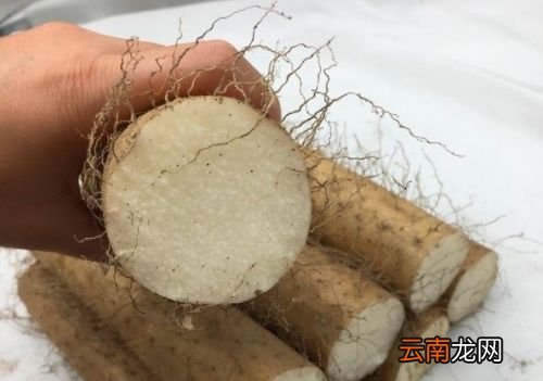 怎么分辨铁棍山药还是普通山药