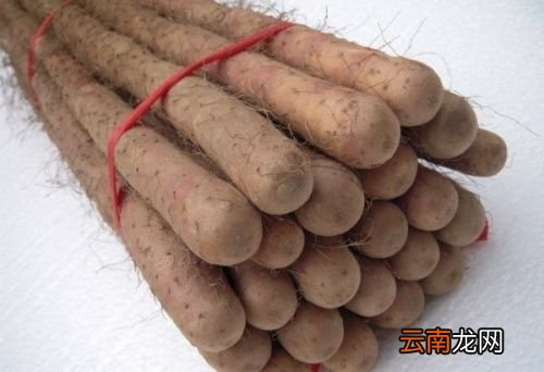 如何分辨铁棍山药和普通山药