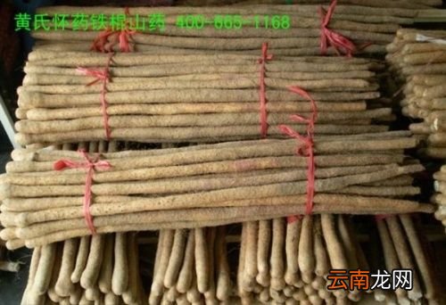 如何分辨铁棍山药和普通山药